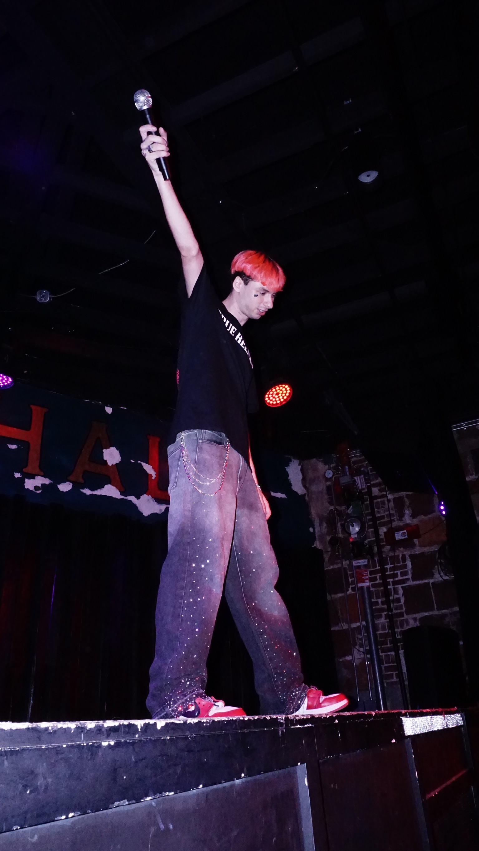 Bradsviral standing on the barrier with mic raised